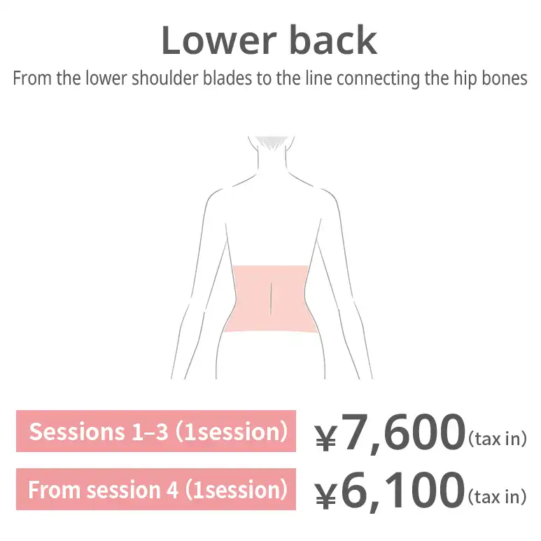 Lower back. From the bottom of the shoulder blades to the line connecting the hip bones. Sessions 1–3: JPY 7,600 per session (tax included) From session 4: JPY 6,100 per session (tax included)