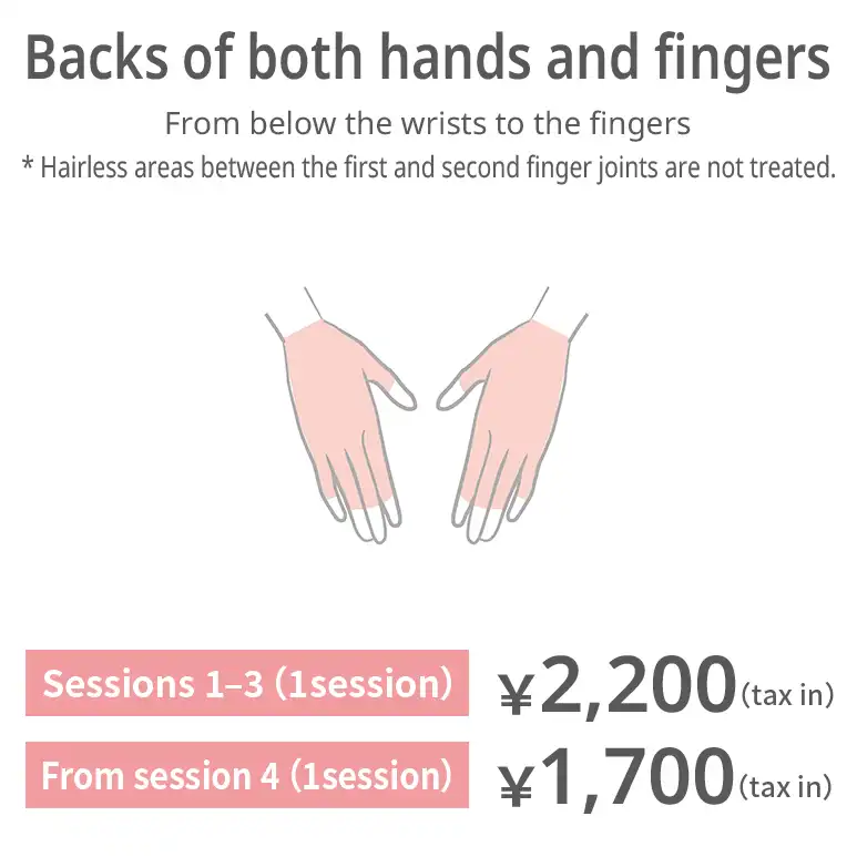 Backs of hands and fingers. From below the wrists to the fingers. Areas between the first and second finger joints are not treated if no hair is present. Sessions 1–3: JPY 2,200 per session (tax included) From session 4: JPY 1,700 per session (tax included)