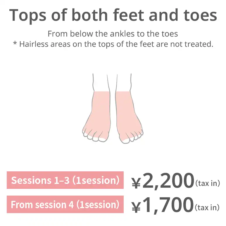 Tops of feet and toes. From below the ankles to the toes. The tops of the feet are not treated if no hair is present. Sessions 1–3: JPY 2,200 per session (tax included) From session 4: JPY 1,700 per session (tax included)