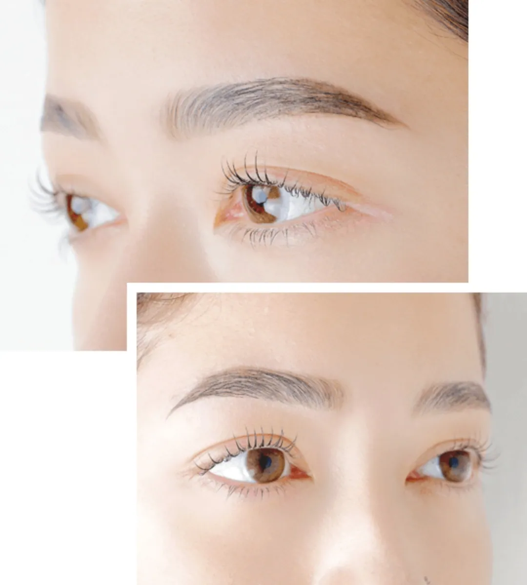 毛流れを整え立体的に。