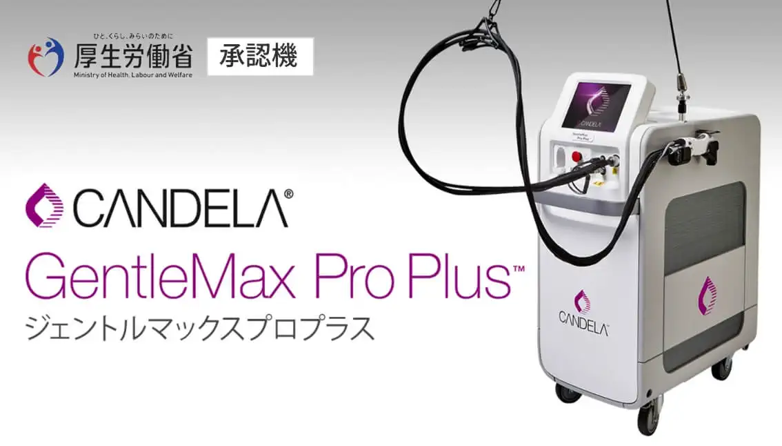 ジェントルマックスプロプラス