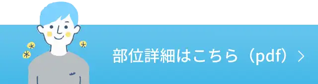 部位詳細はこちら（pdf）