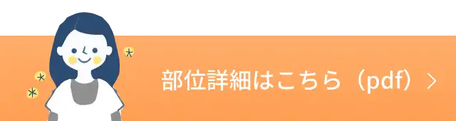 部位詳細はこちら（pdf）