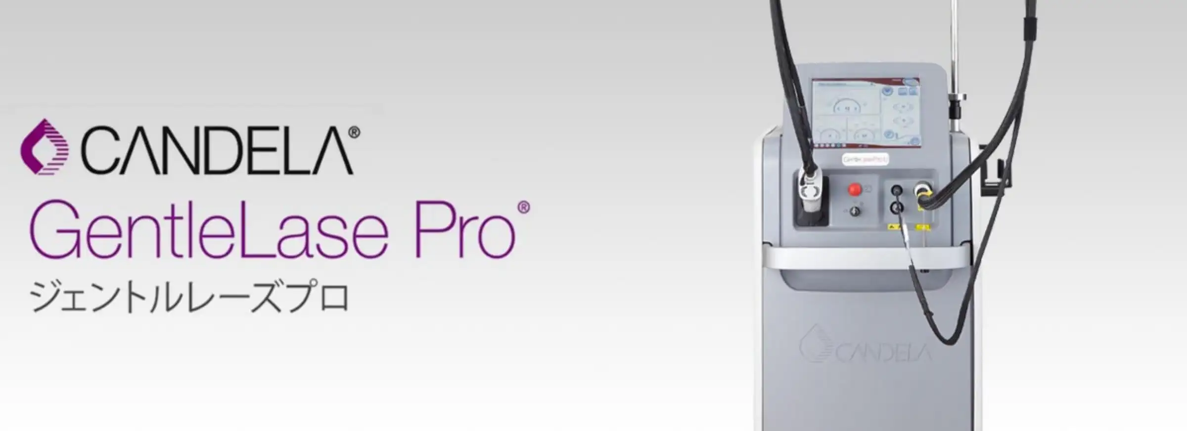 ジェントルレーズプロ