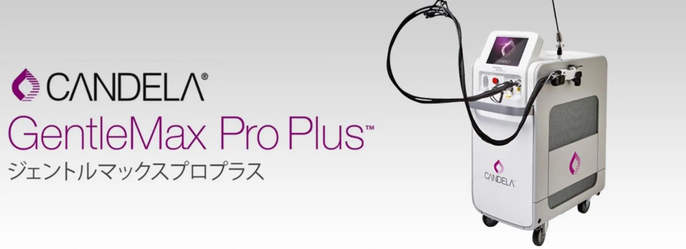 ジェントルマックスプロプラス