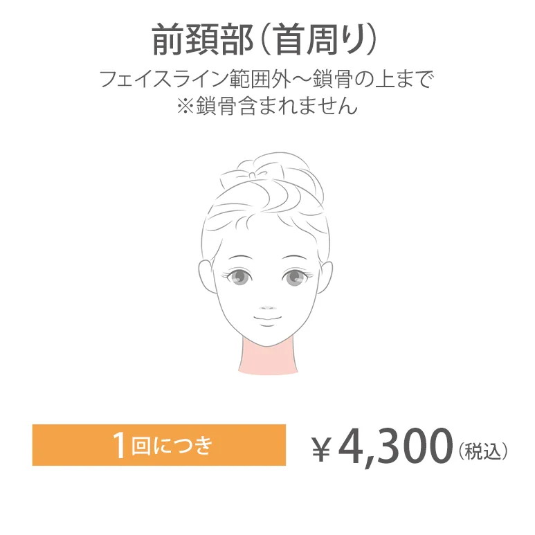 前傾部（首周り）