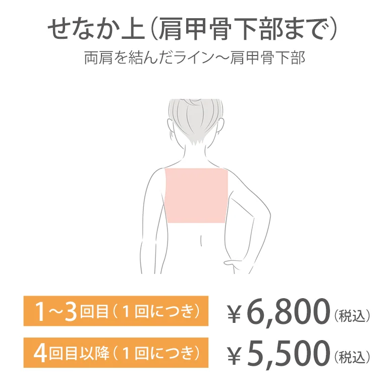 せなか上（肩甲骨下部まで）