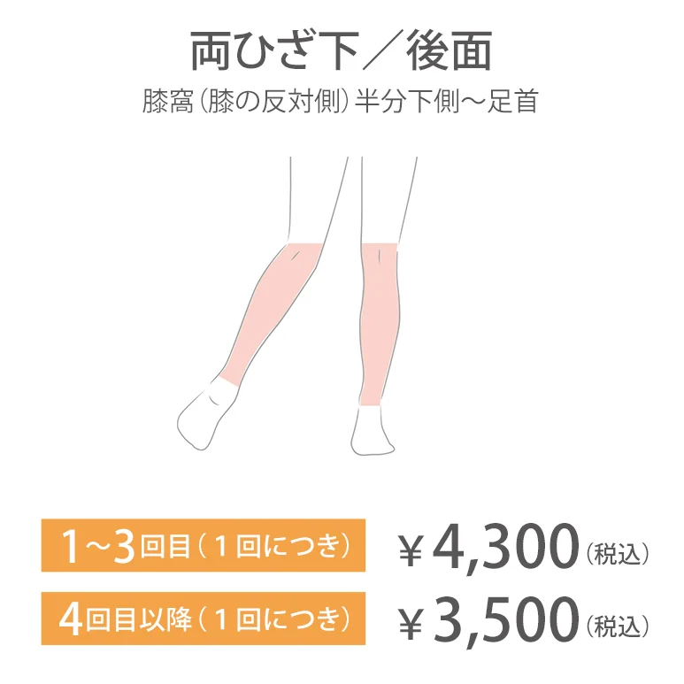 両ひざ下／後面