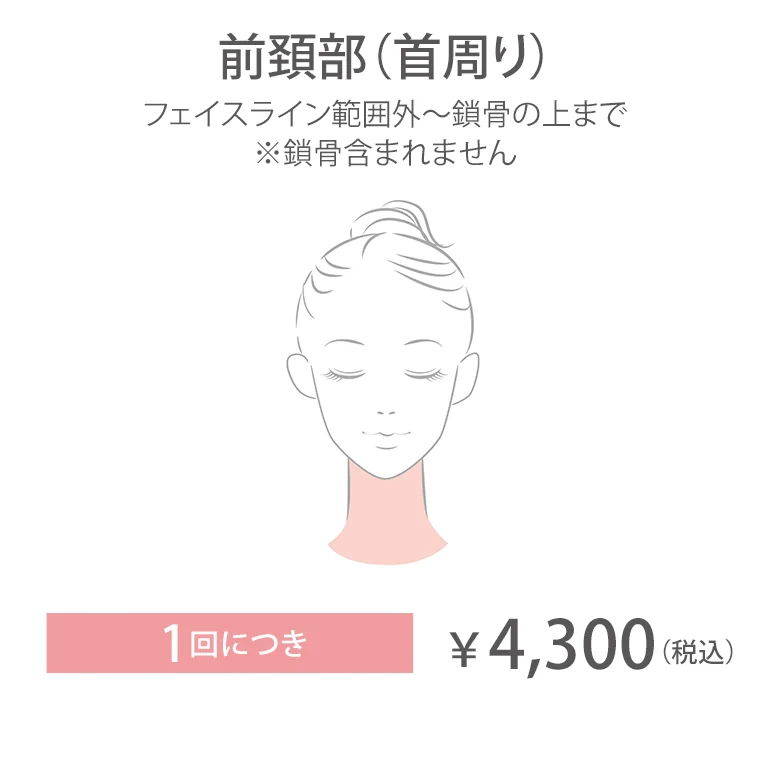 前傾部（首周り）