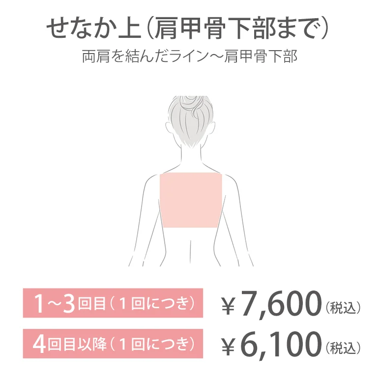 せなか上（肩甲骨下部まで）