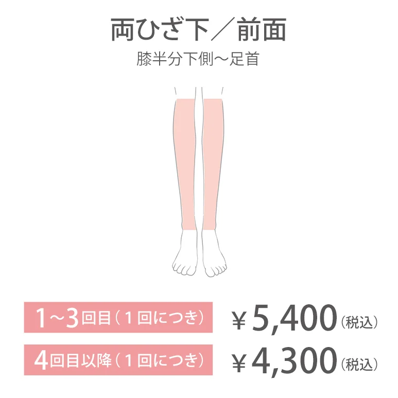 両ひざ下／前面