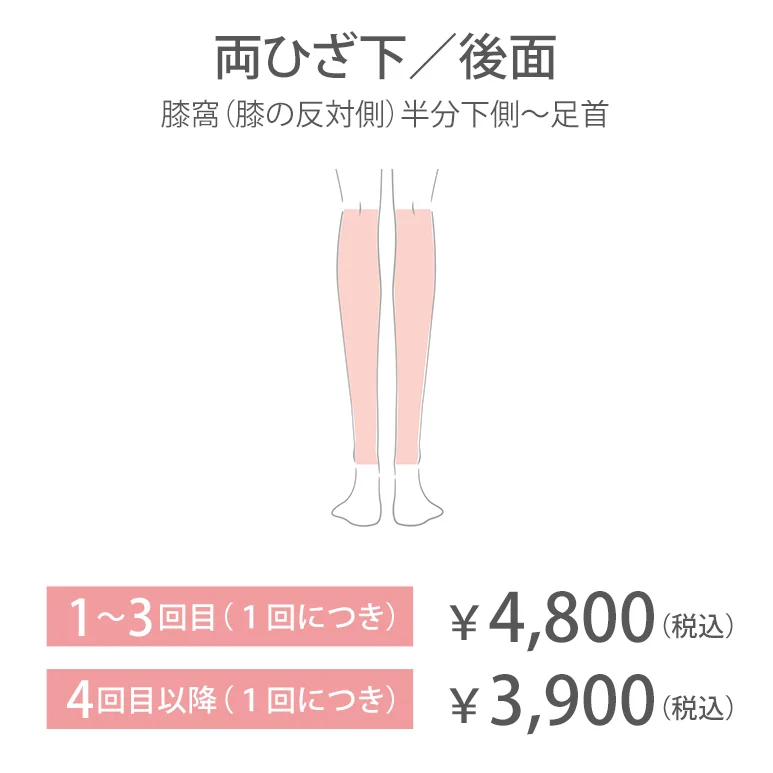 両ひざ下／後面