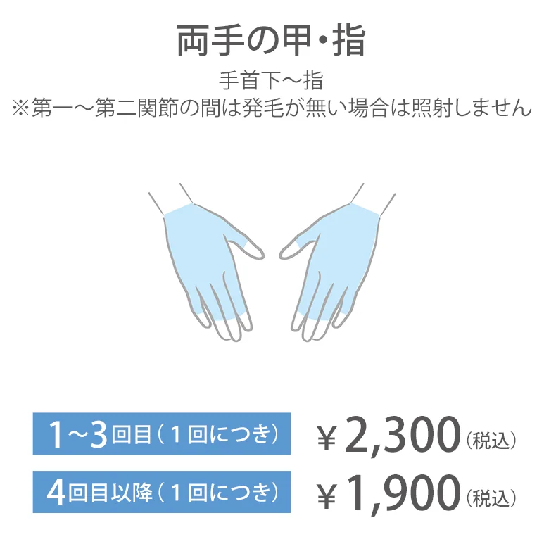 両手の甲・指
