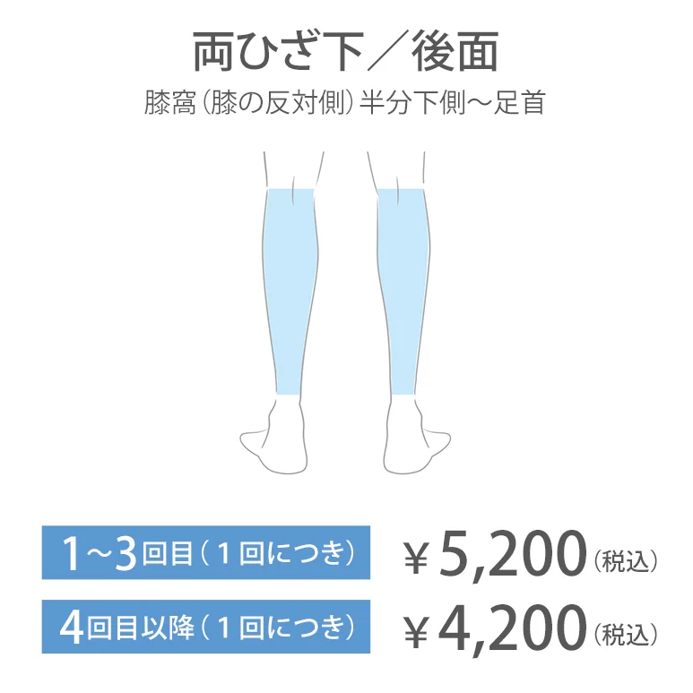 両ひざ下／後面