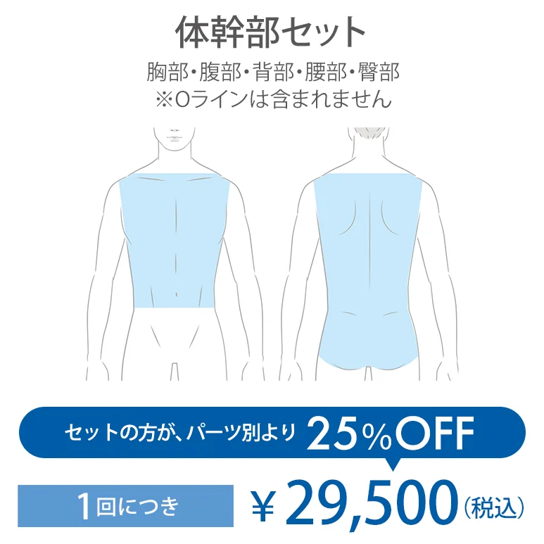 体幹部セット