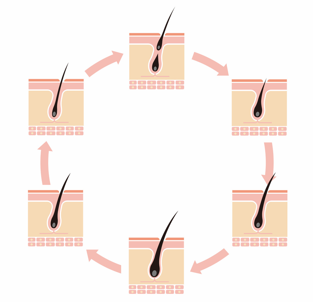 眉毛 脱色しすぎた